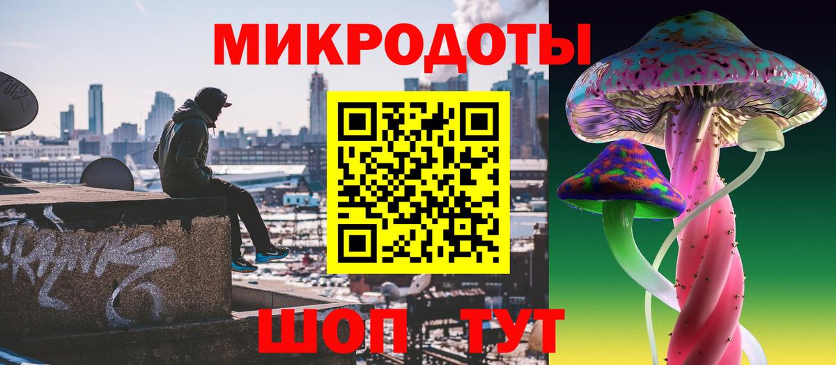 Псилоцибиновые грибы Psilocybe  Вход с VPN  Кингисепп 